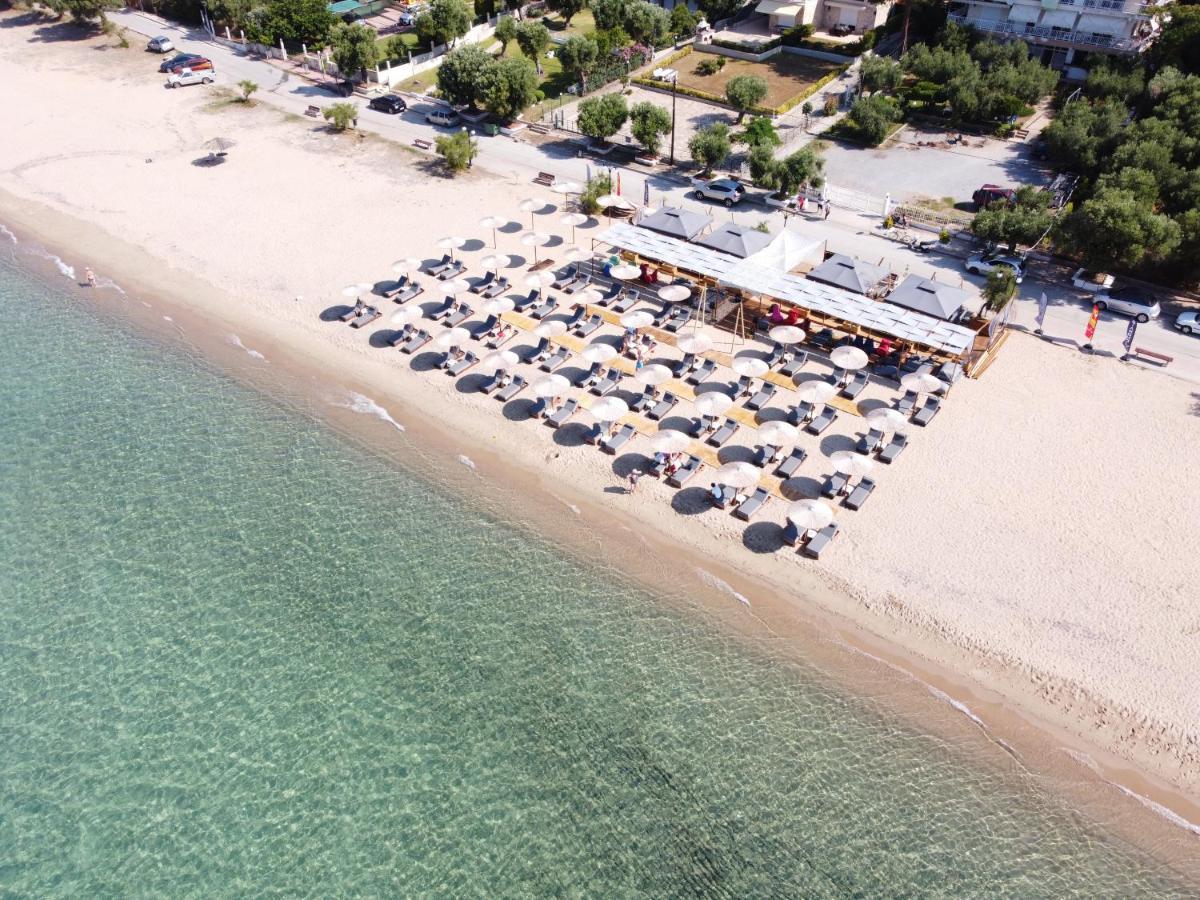 Katrin Luxury Studios Nea Moudania Bagian luar foto